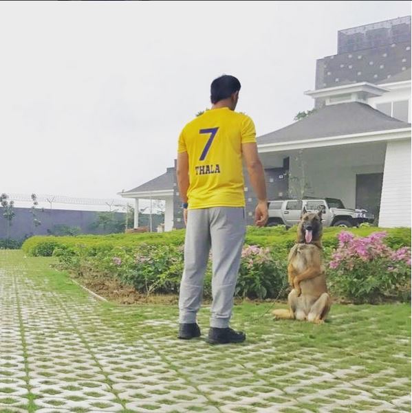 MS Dhoni Welcomes Back Chennai Super Kings To IPL In Style