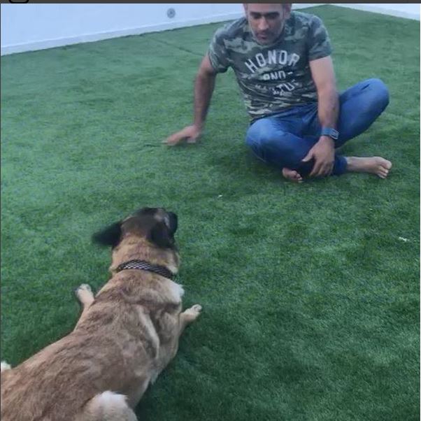 Video Dhoni Playing with his Dog